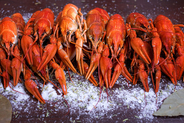 Boiled crayfish with dill on wooden background