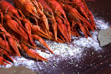 Boiled crayfish with dill on wooden background