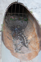 Clogged Storm Drain Pipe at park in San Fernando Valley
