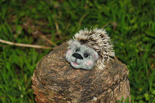 hedgehog on a stump
