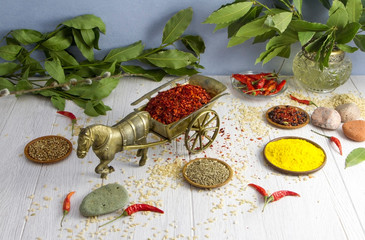 Spices and seasonings on the wooden table