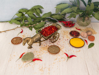 Spices and seasonings on the wooden table