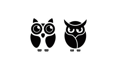 vector owl illustration