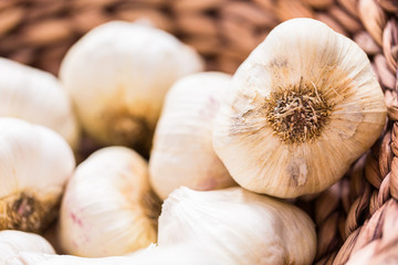 Organic garlic