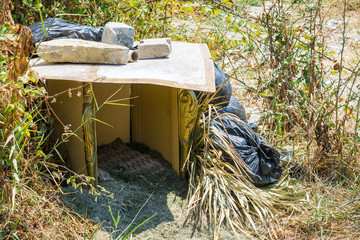 Homemade doghouse set in bushes on street.