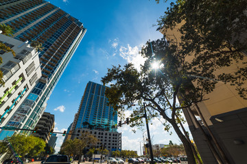 Fototapeta na wymiar Skyscrapers in downtown Tampa