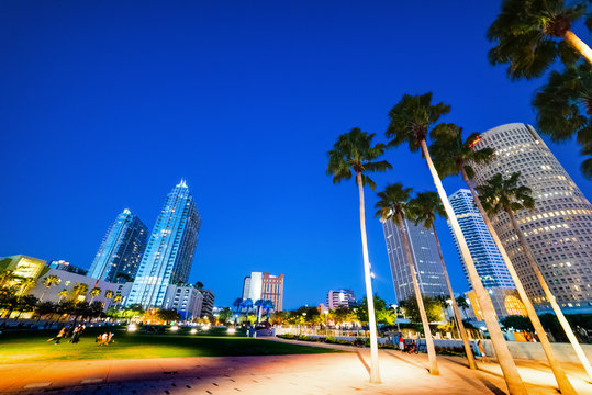 Palms and skyscrapers in Curtis Hixon waterfront park in Tampa at night