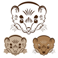 Logo ermine head. Stylized mascot.