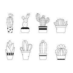 Cute hand drawn line cactus in the pots