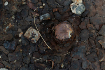 Old bolts that are attached to the floor have cracks of color.