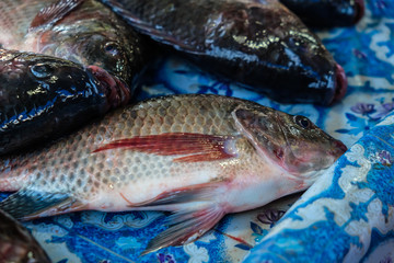 Fresh variety seafood sell in traditional market