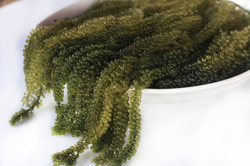 green seaweed in the plate.