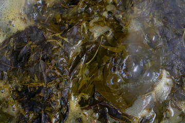 Top view of Cassia curry or Thai name Kaeng Kee Hlak or Thai Copper Pod with Pork Boiled in boiling water.