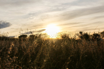 Fototapeta premium Atardecer al aire libre