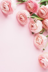 Flowers background . Pink flowers ranunkulus  on pale pink background. Top view. Copy space. Holiday concept