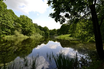 Lake in the Park in spring