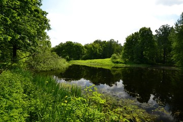 Lake in the Park in spring