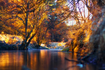Autumn landscape on calm river