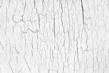 Bright abstract background with wooden cracked texture