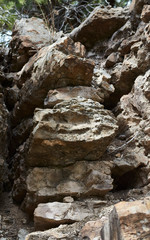 Southwest