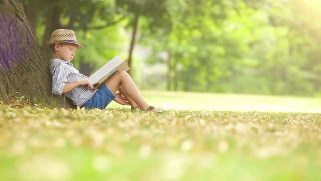 Little boy in straw hat sitting under tree flipping through the book