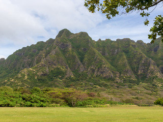 Hawaiian Green Jungle Mountain