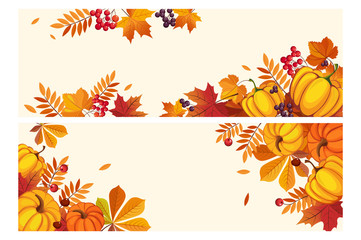 Thanksgiving background with space for text, horizontal banners with autumn leaves and pumpkins, berries of rowan and aronia vector Illustration