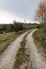 Fototapeta na wymiar Gravel path on a rural landscape in Tuscany, Italy