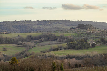 Fototapeta na wymiar Forest hill Tuscany rural landscape countryside