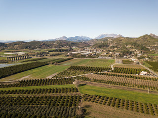 Beautiful spring landscape of green fields in Turkey