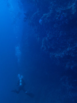 Diver Swims Along The Underwater Cliff