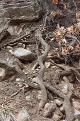 Southwest Mountain 