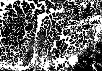 Craguelure black and white vector background.