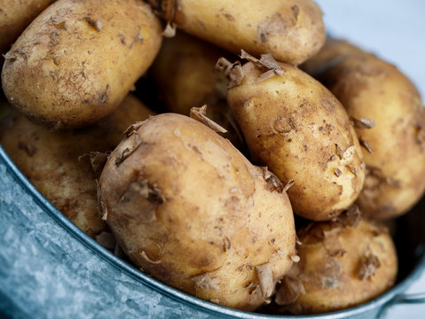 Early Potatoes