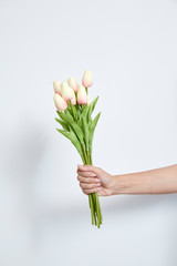 Woman's hand holding tulips