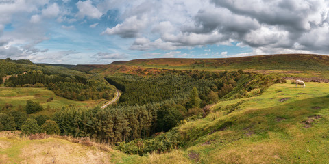 Fototapeta na wymiar North York Moors landscape in Newtondale, seen from the Levisham Moor, North Yorkshire, England, UK