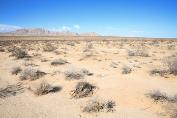 The Heart of Mojave in California, USA