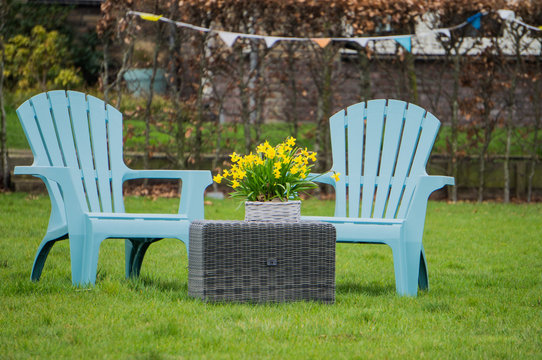Two light blue garden chairs standing on a green lawn with yellow daffodils  - countryside garden concept