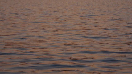Ripples on water