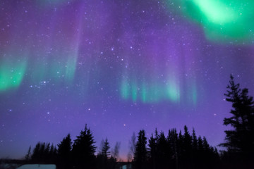 Naklejka premium オーロラ