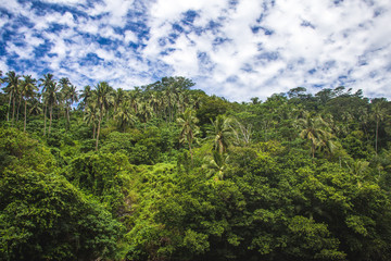 A stunning areal view with palms in tropical Samoa, Upolu, Pacific island