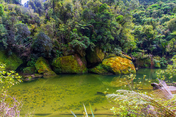 View of river with stones and bushes