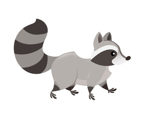 Cute cartoon raccoon walk, side view. Cartoon animal character design. Flat vector illustration isolated on white background