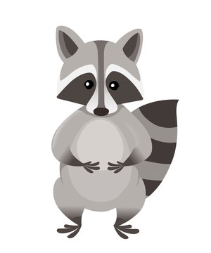 Cute cartoon raccoon stand in front. Cartoon animal character design. Flat vector illustration isolated on white background