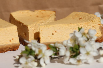 three pieces of Easter cheese with a branch of a blossoming tree on a white background