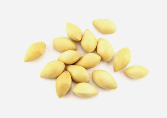 dry ginkgo biloba on white background