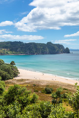 Fototapeta na wymiar hot springs beach New Zealand Coromandel