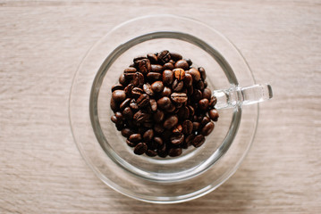 the coffee bean