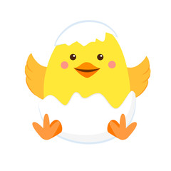 Newborn yellow chicken in the shell