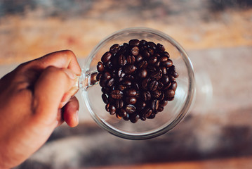 the coffee bean